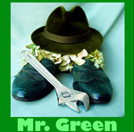 Mr Green Michael Mckeen shoe whose